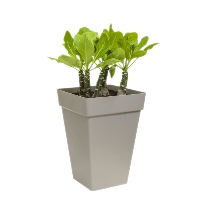 ELHO - Vierkante Plantenbak Hoog – 37 cm – Wit
