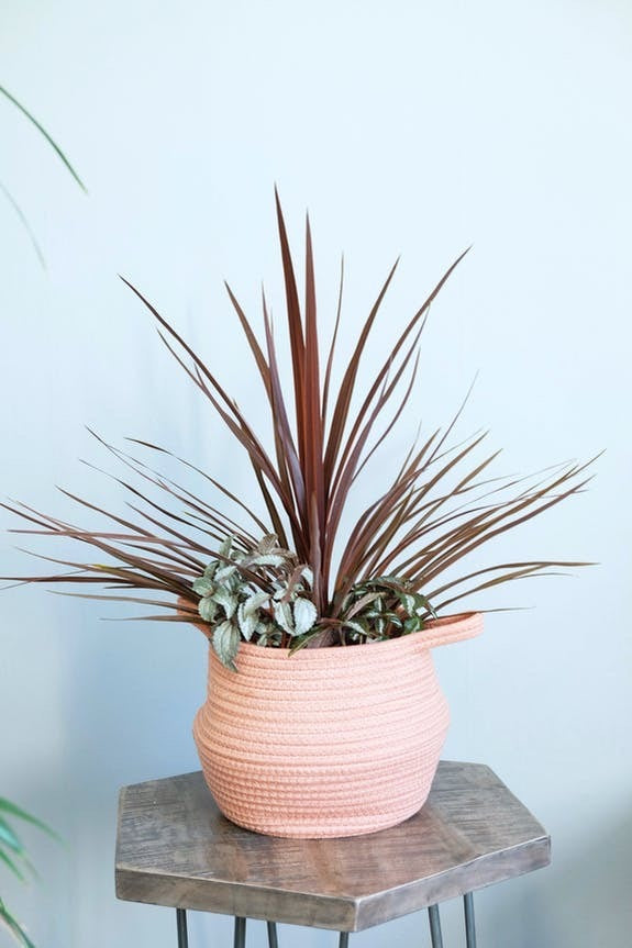 Buikmand klein OUDROZE  ∅ 19cm