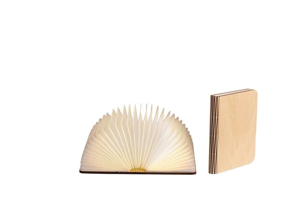 LEDR - Boeklamp M