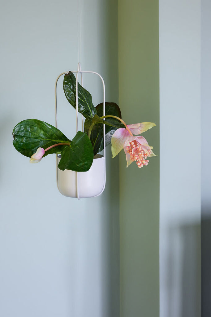 HUBSCH - Lotus hangende bloempotten - Lichtgrijs (set van 2)